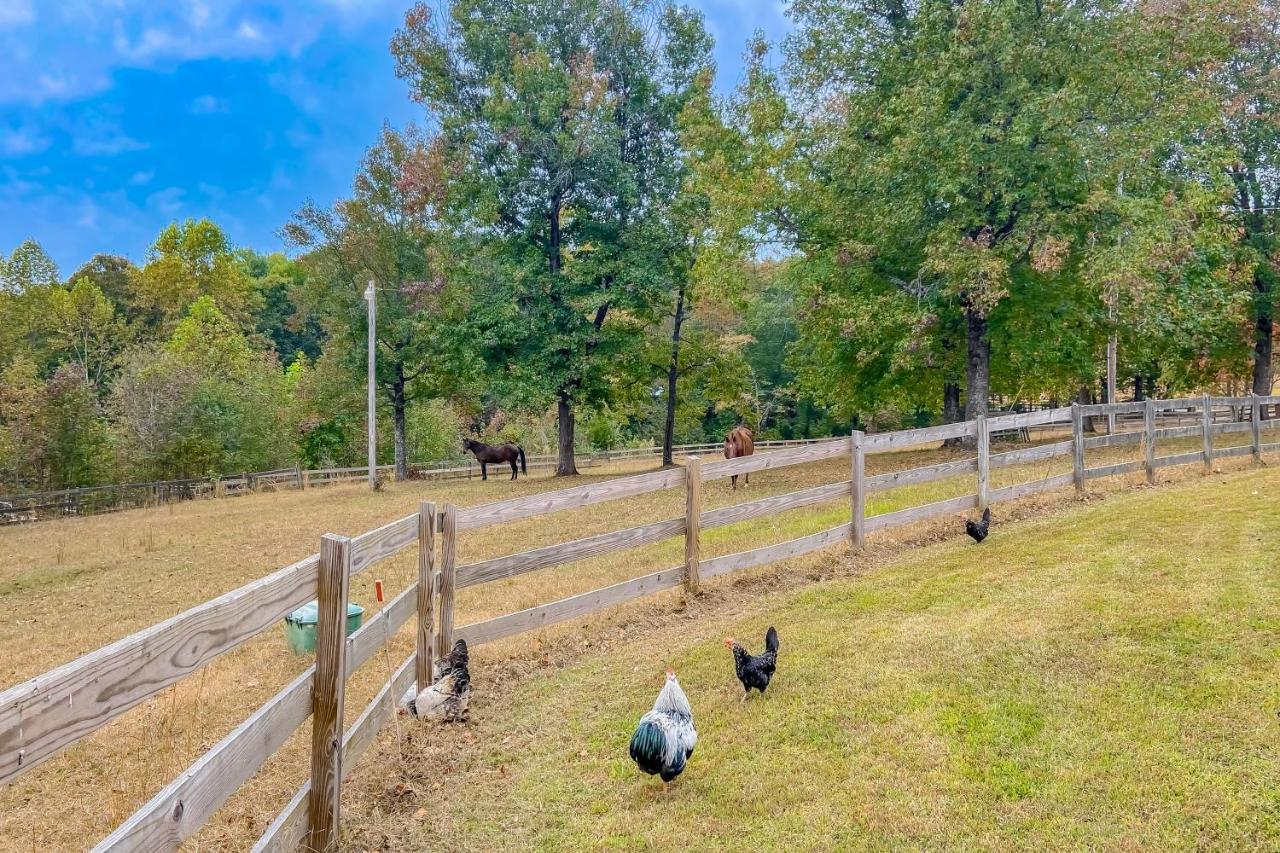 The Cottage At Overlook Farm Landrum Esterno foto